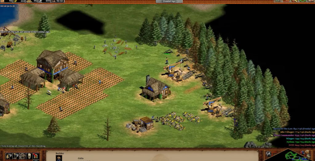 Age of Empires 2 Celts